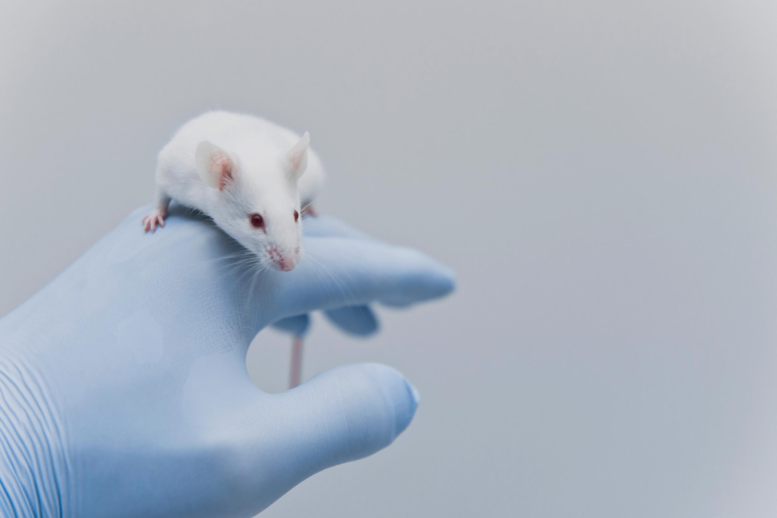 find your ideal mouse identification methods at Somark