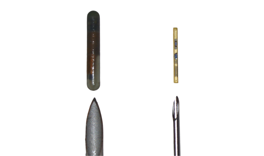 radio frequency identification method, Digitail, vs glass transponder