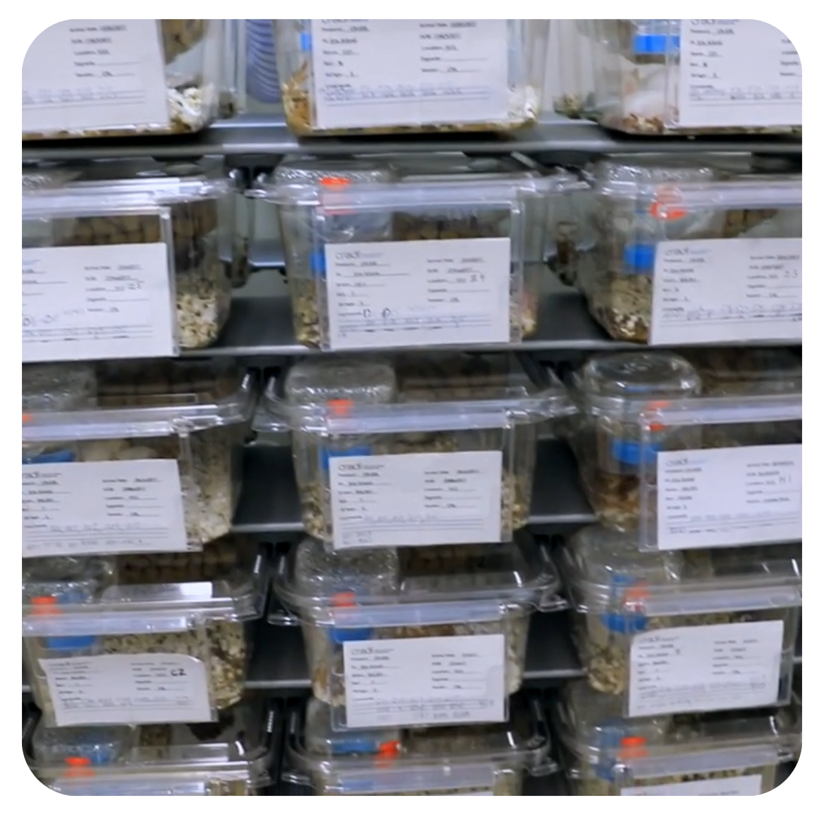 long distance RFID readers can be used for batch by batch reading through plastic and glass.