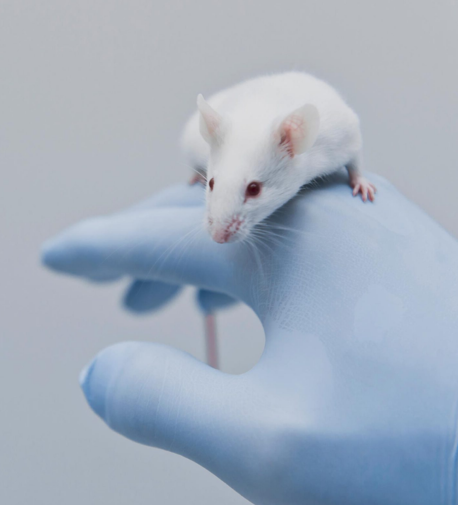 appropriate handling and mouse restraint