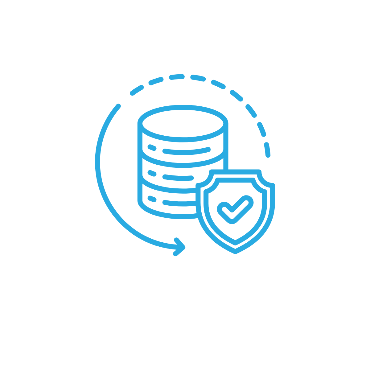 Data Integrity